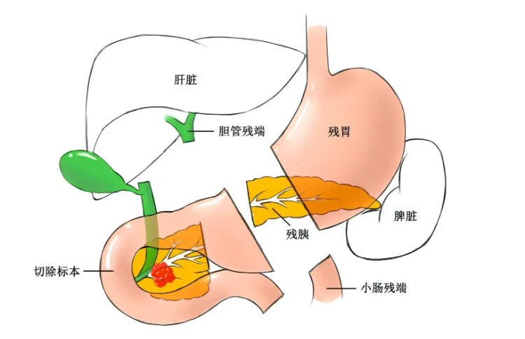 微信圖片_20240415090712.png